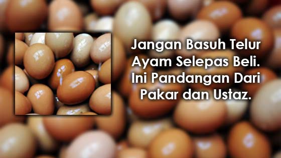 Penjelasan Kenapa Tidak Boleh Basuh Telur Ayam Selepas Beli Penjelasan Kenapa Tidak Boleh Basuh Telur Ayam Selepas Beli