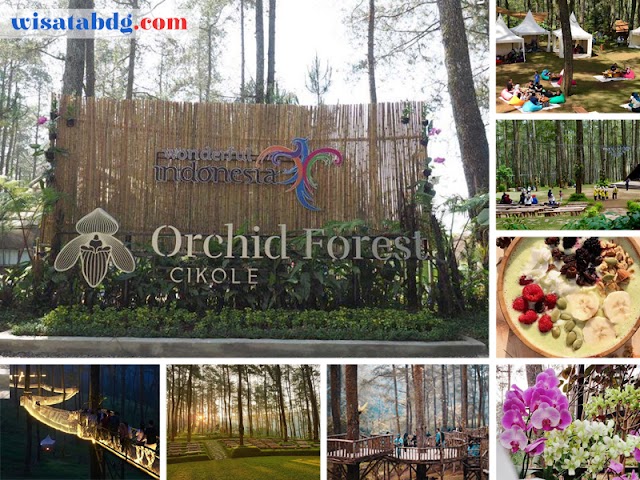 Orchid Forest Cikole, Destinasi Wisata Favorit Kekinian di Bandung