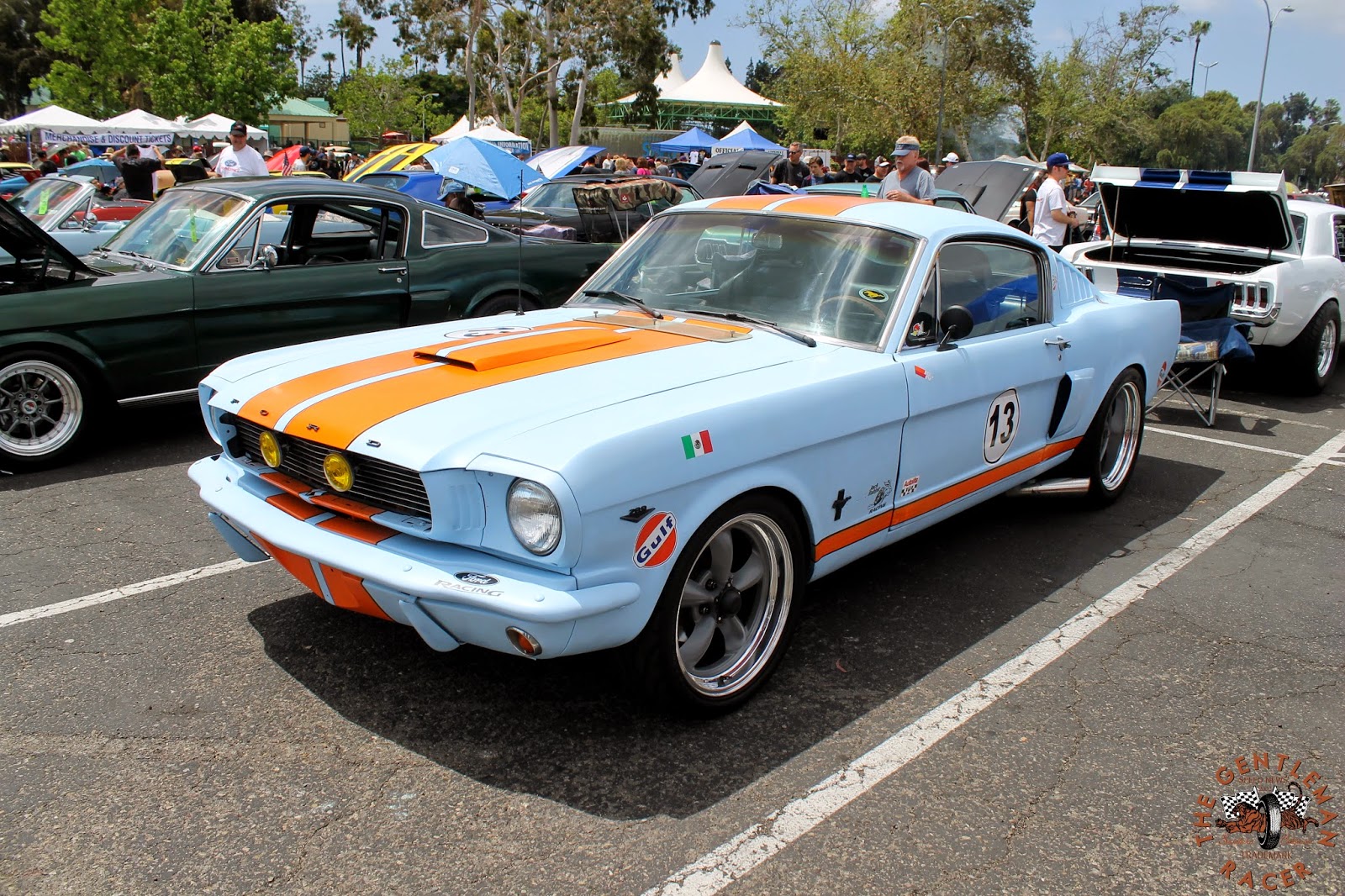 Gulf mustang