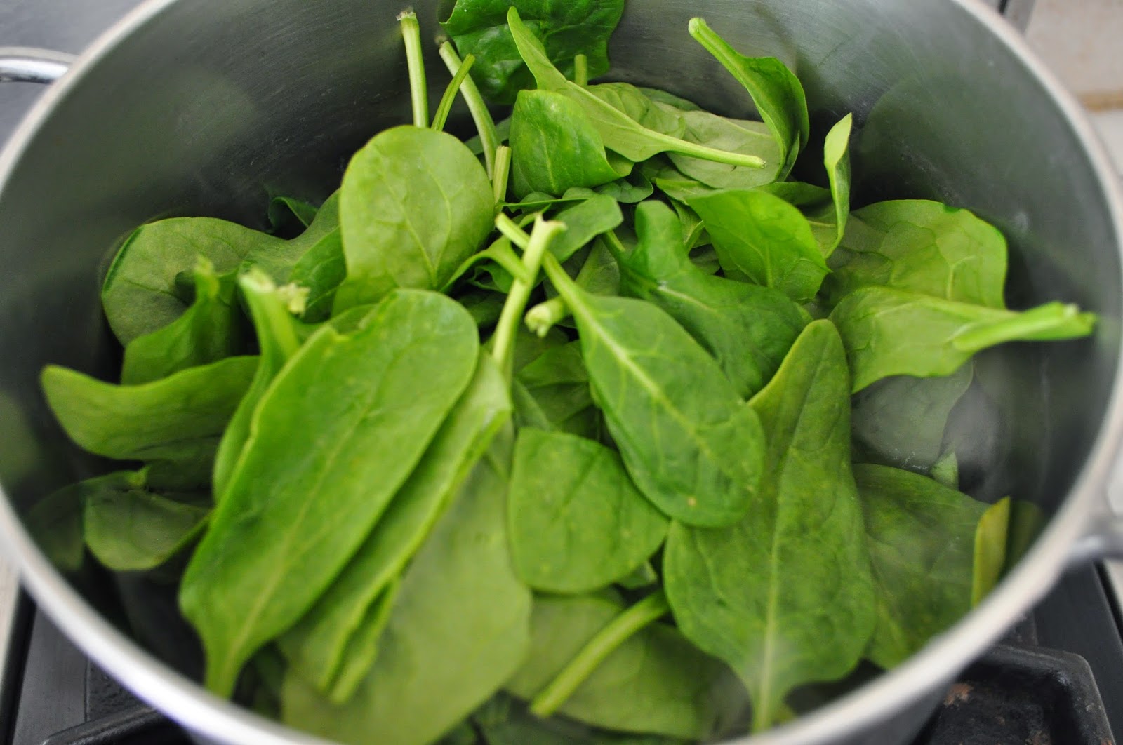 Cooking with Manuela: Homemade Ravioli with Spinach and Ricotta