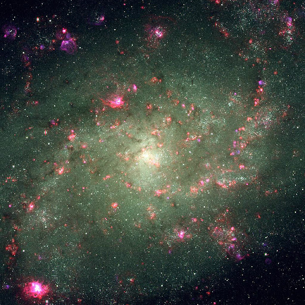 M33, the Triangulum Galaxy: Excitation in HII Regions!