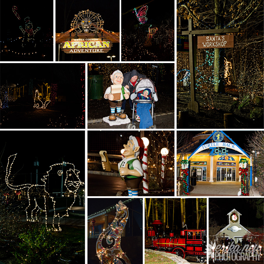 A Neu York Adventure Christmas Lights at the Turtle Back Zoo
