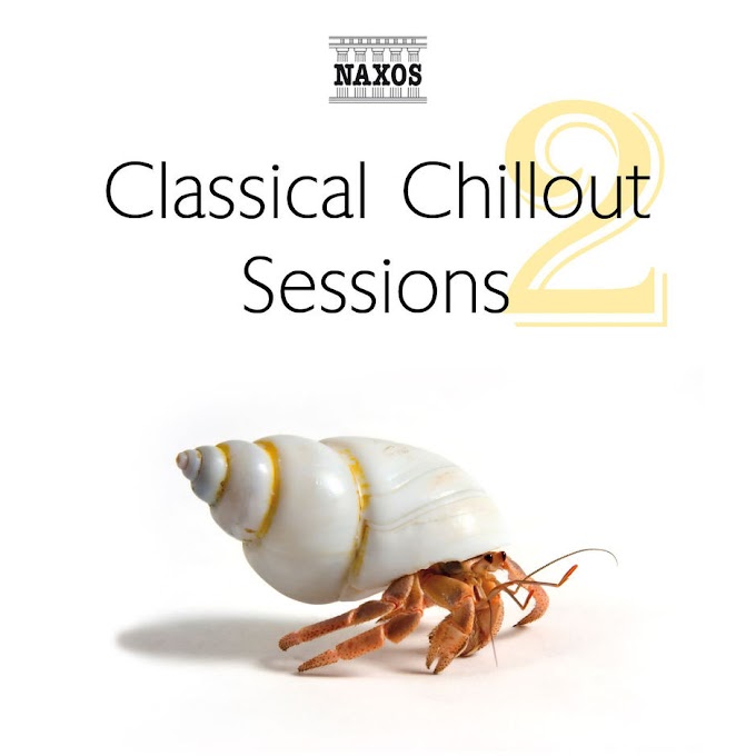 Various Artists - Classical Chillout Sessions, Vol. 2 [iTunes Plus AAC M4A]