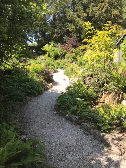 Gravel path in with plant boarders either side