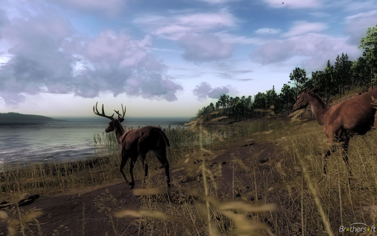 Free Download The Hunter Games Free Top PC Games free-download-the-hunter-games-free-top-pc-games