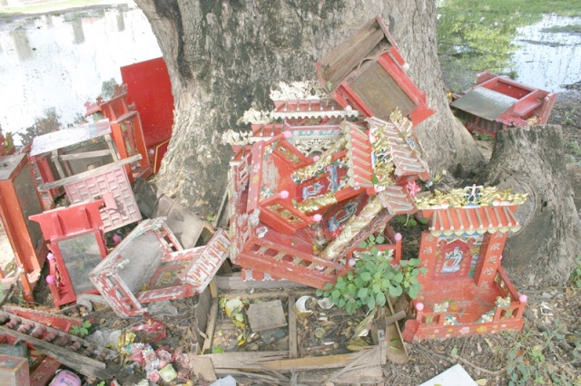 Praying Shrines disposed under a tree.