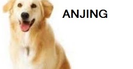 Anim Agro Technology Anjing Jinak Dan Bahaya