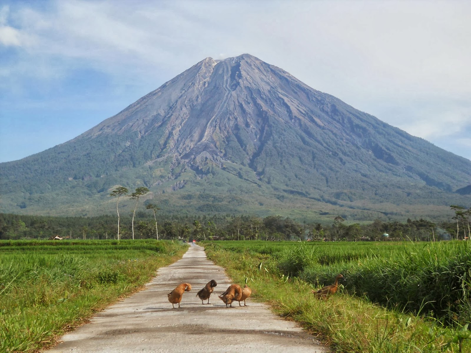 Wisata Bromo Tengger Semeru  LEGENDA GUNUNG  SEMERU 