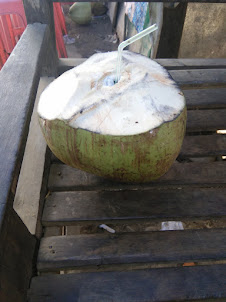 Some of the largest tender coconuts in Namphalong Bazaar in Myanmar.