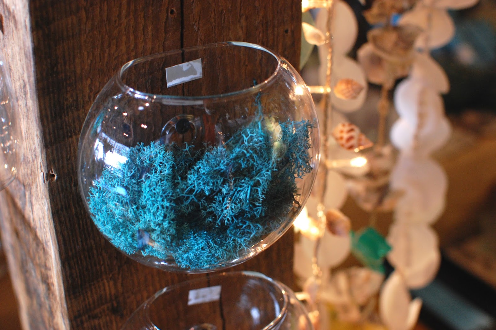 The Redolent Mermaid Anna Maria Island Sand Dollar Gift Shop