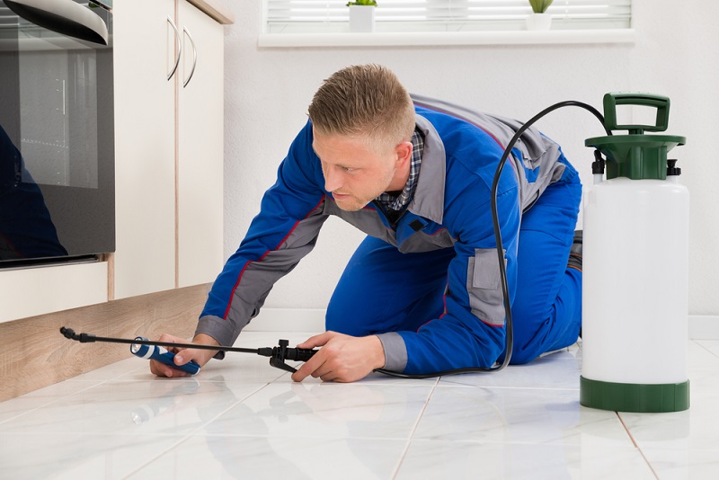 The Benefits Of Getting Your Pest Inspection Done By Professionals