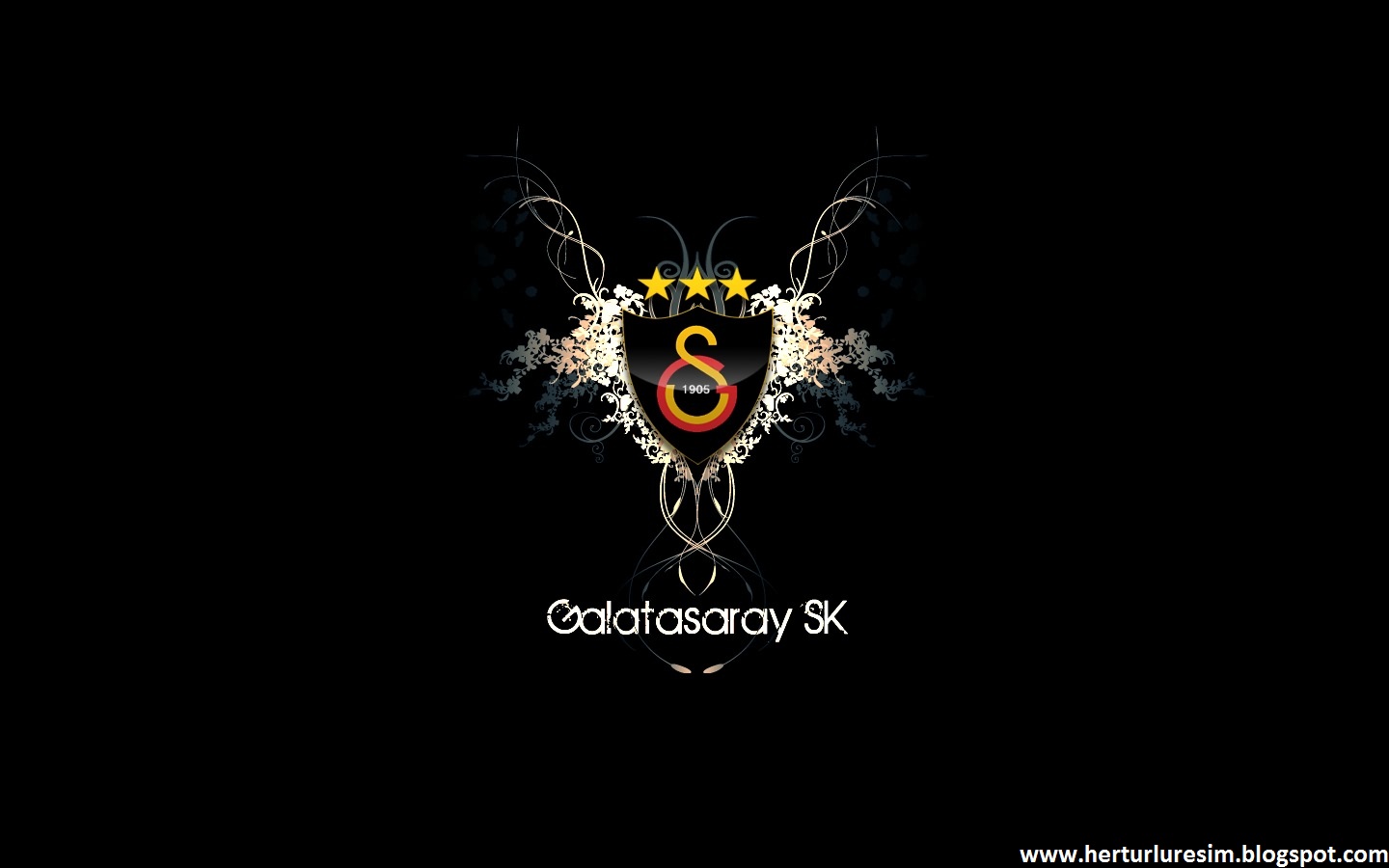 En Güzel Galatasaray Resimleri 2013 Fotoğrafları Wallpaper |Hd Wallpapers
