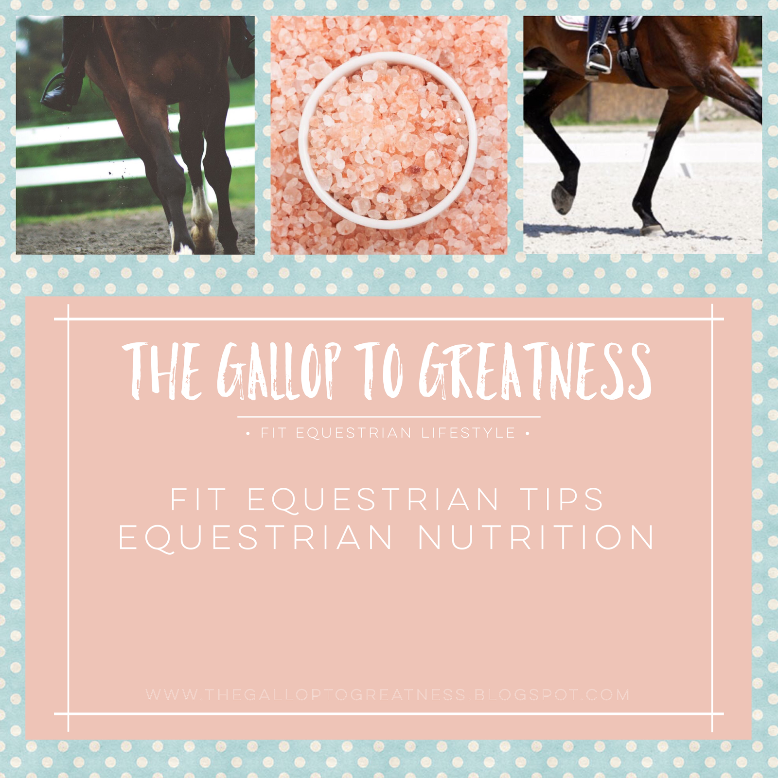 FitEquestrianTips Equestrian Nutrition
