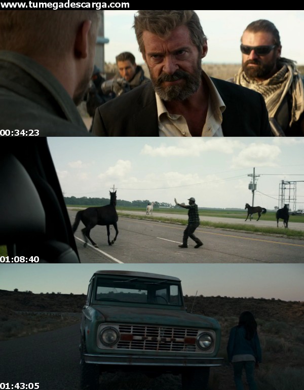 logan 2017