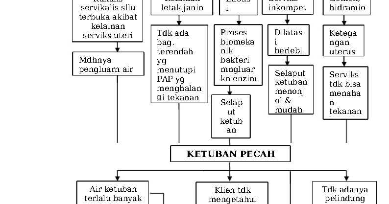 Buku