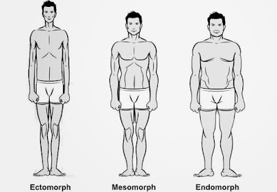 What is your body type ?, there are three types