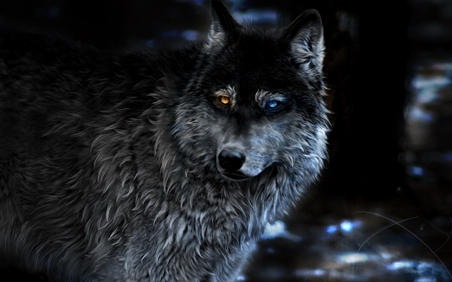 thumb2-wolf-blur-fantasy-art-night-predators.jpg