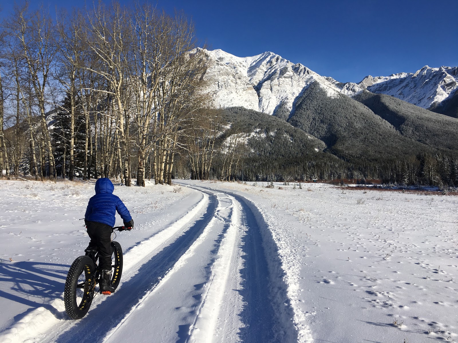 Family Adventures in the Canadian Rockies Fat Biking at Kananaskis