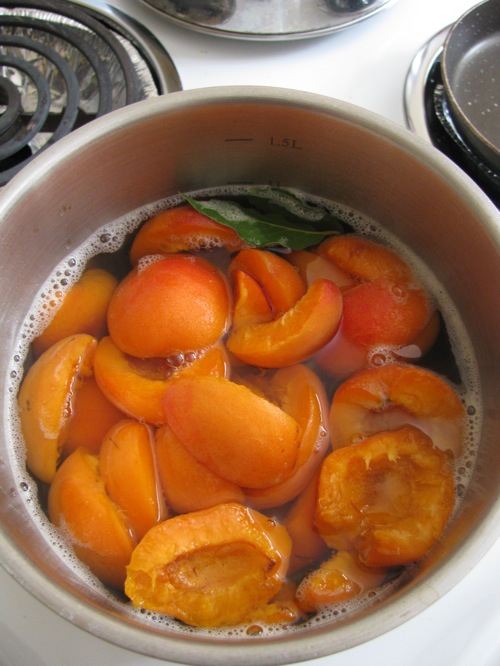 Vintage Bel Recipe Apricot Paste and Vintage Apricot Sauce