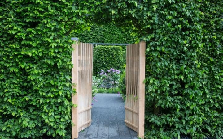 A Gorgeous Display of Flowers at the Chelsea Flower Show – Petite Haus