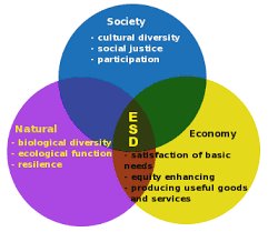 Environmental sustainability essay