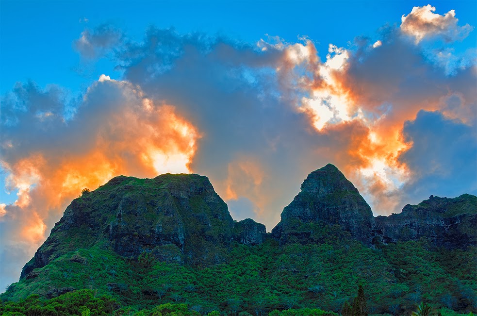 Linda Cochran's Garden Pictures From Kauai