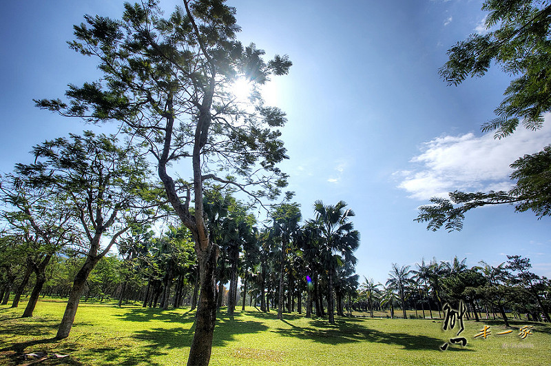 花蓮壽豐秘境景點|夢幻湖|雲山水民宿villa home
