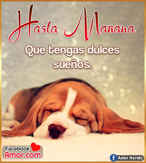 hasta mañana buenas noches hasta mañana buenas noches