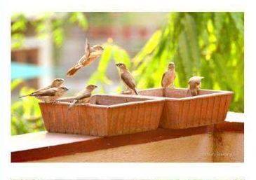 Garden Agriculture Products Supplier Ahmedabad Gujarat India