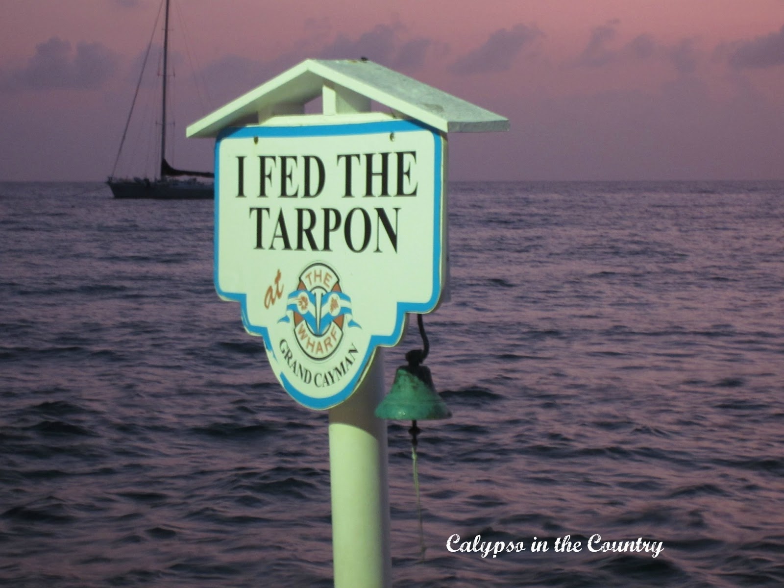 Grand Cayman Restaurants - Calypso in the Country