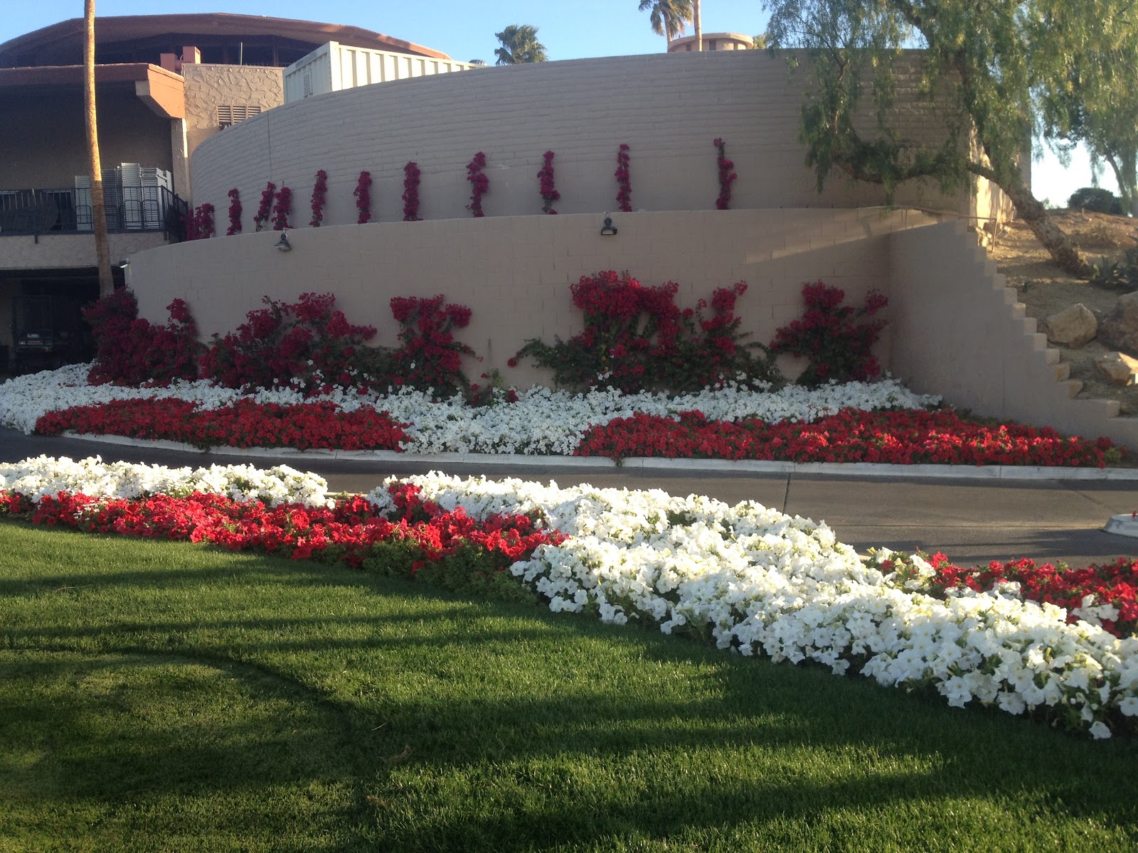 Avondale Golf Course Maintenance Updates Flowers, Poa Annua & Projects