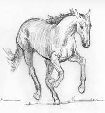 Dibujo  a lápiz de caballo