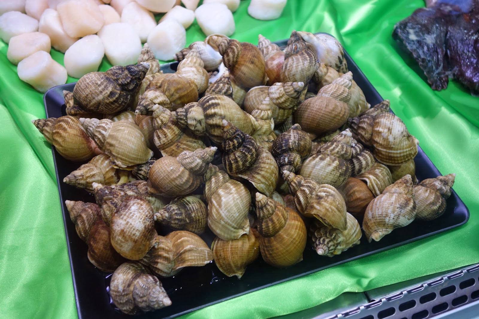 The Passionate Foodie SENA14 Fish Fun & Photos