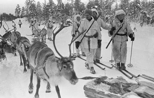 Reindeer in the Finnish Winter War against bloody Russia