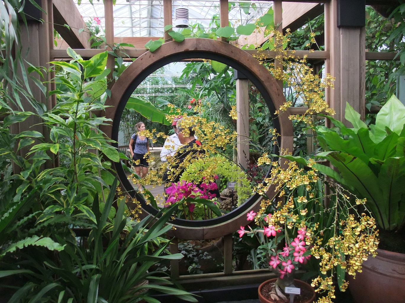 Conservatory of Flowers