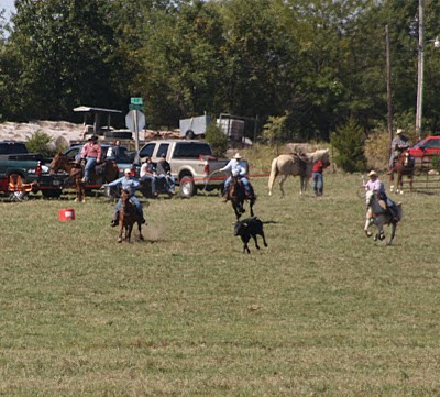 PairADice Mules: More Pasture Roping