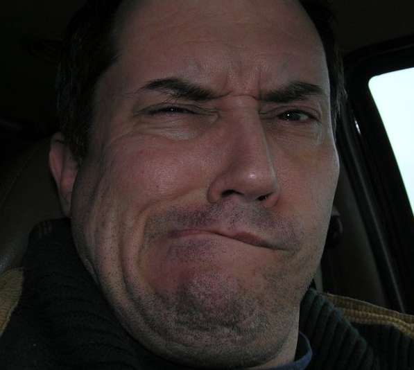 The Domestic Curator My Struggle with the KooKoo Bird and