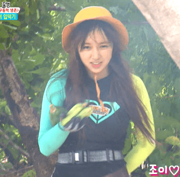 어제 정법 귀여운 성소.gif | 인스티즈