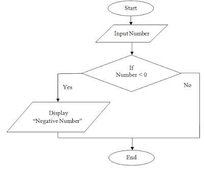 Introduction to Programming: Draw flowchart to check negative number.