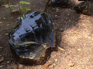 JARDÍN BOTÁNICO DE LA UNIVERSIDAD DE VALENCIA. NIVEL A2.TERMINOLOGÍA
