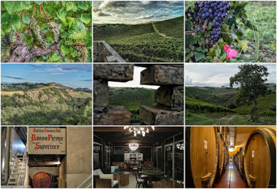 cantina cocci grifoni cantina cocci grifoni