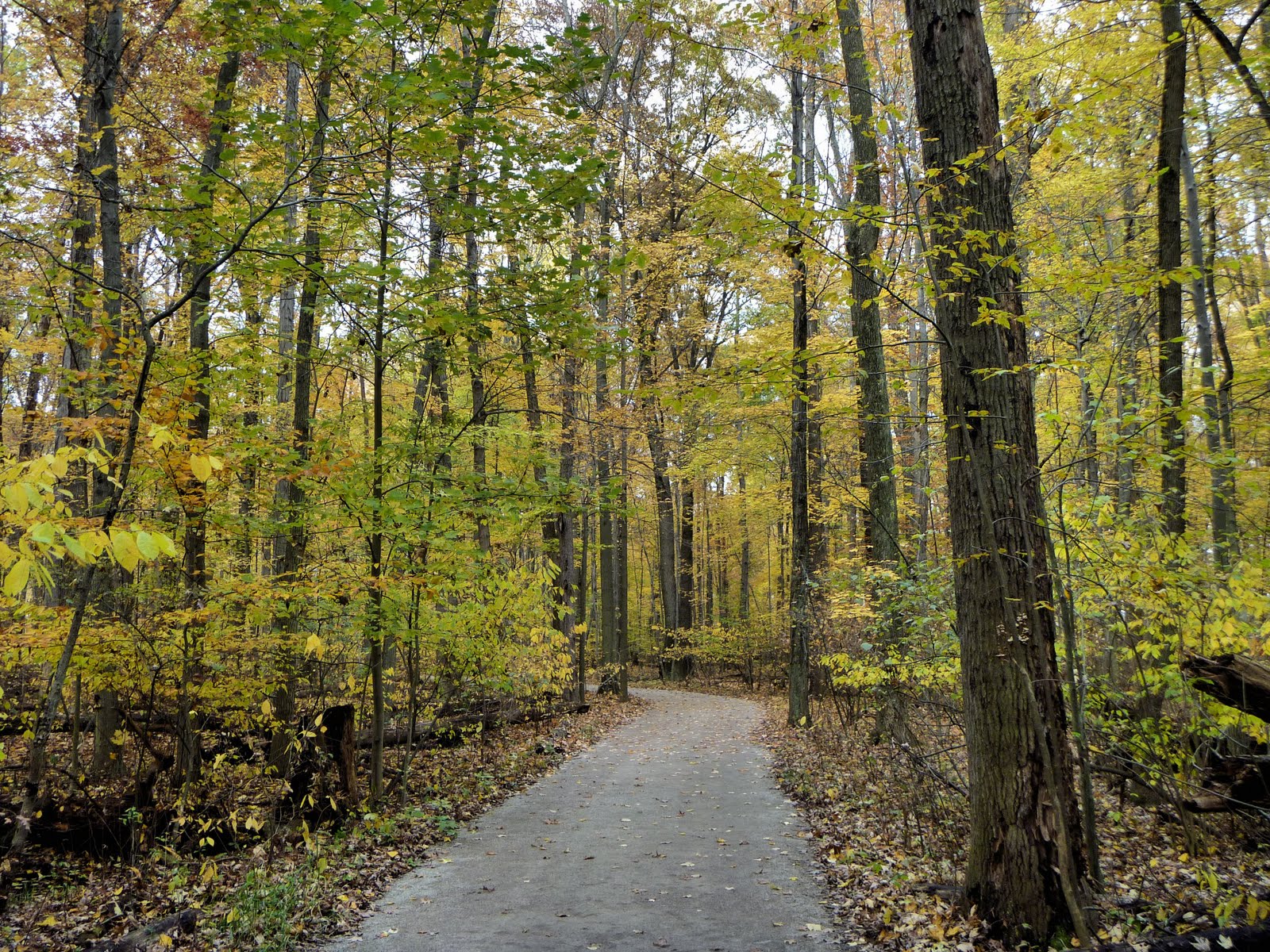 Birds from Behind Sand Hills at Sandy Ridge..."The Longest Twitch