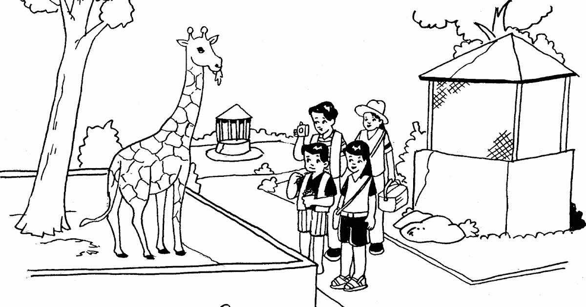 Kumpulan Contoh Sketsa Gambar Kebun Binatang Yang Mudah