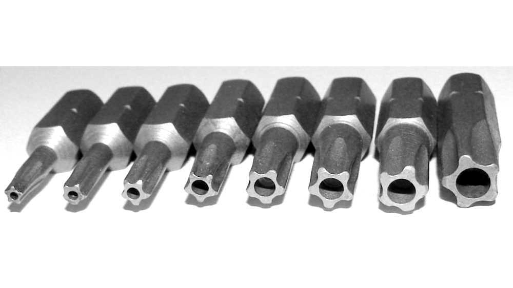 Pentalobe security screw