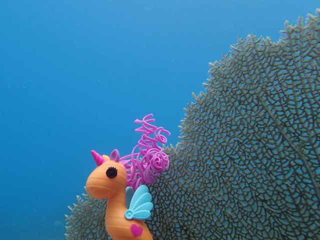 Lala-Oopsie Sea Horse