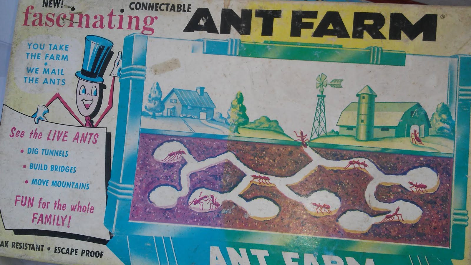 Ant Farm