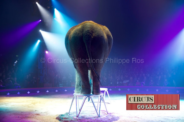 le Cirque Knie arrête de prendre en tournée les éléphants 