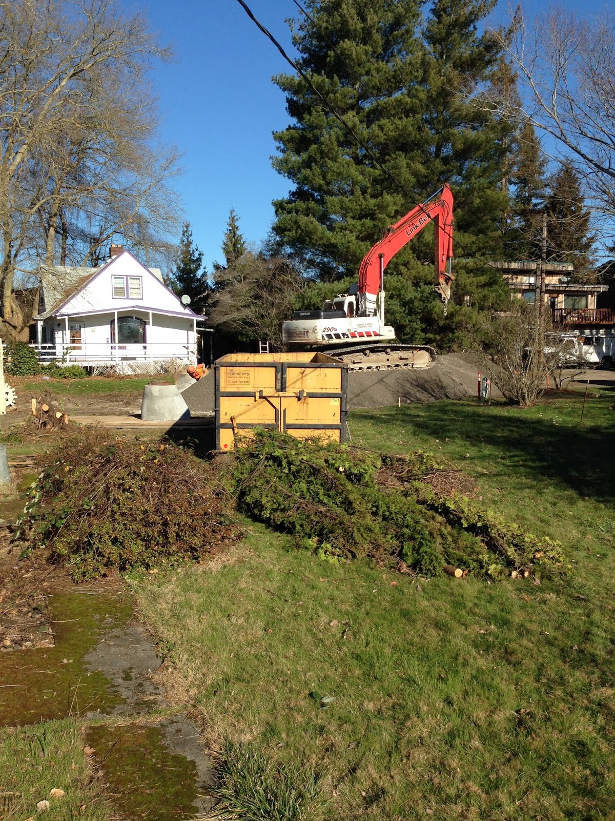 Stelter Home Reno Huge City Sewer Project