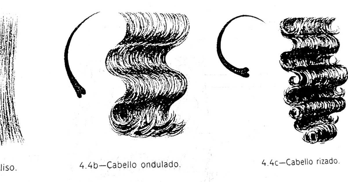Formas del cabello