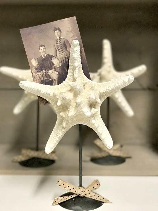 How to create a photo display using a starfish